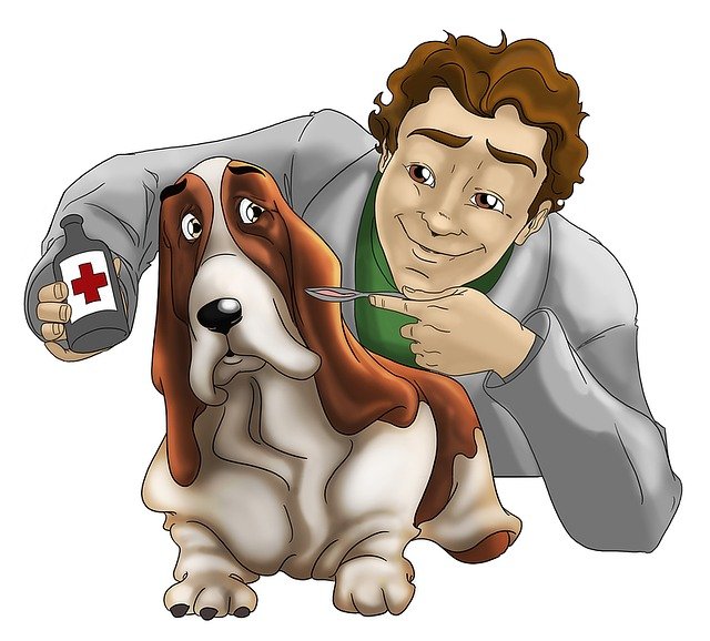 veterinary-1529191_640